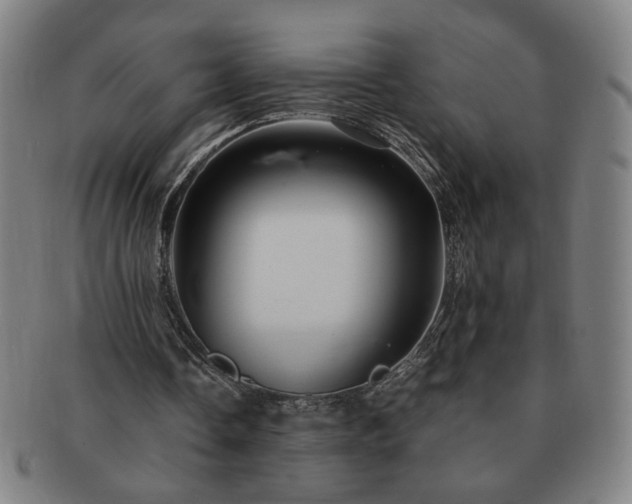 X0000091450338200708231300