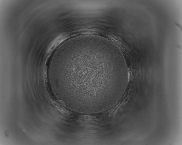 X0000091450339200708231300