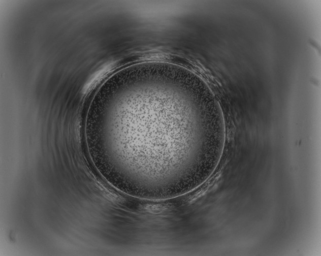 X0000091450341200708231300