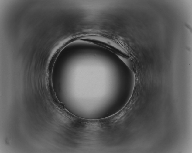 X0000091450342200708231300