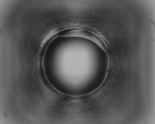 X0000091450344200708231300