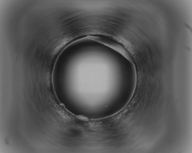 X0000091450345200708231300