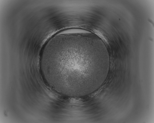 X0000091450346200708231300