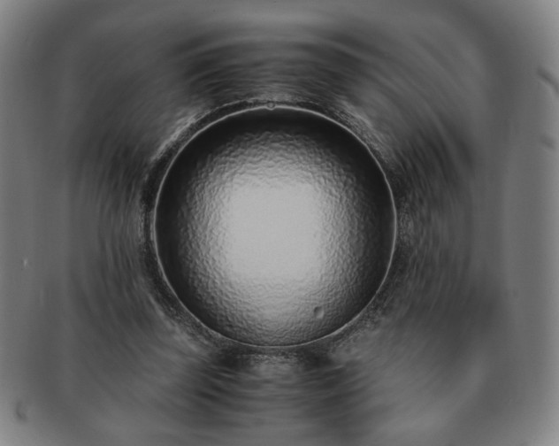 X0000091450347200708231300