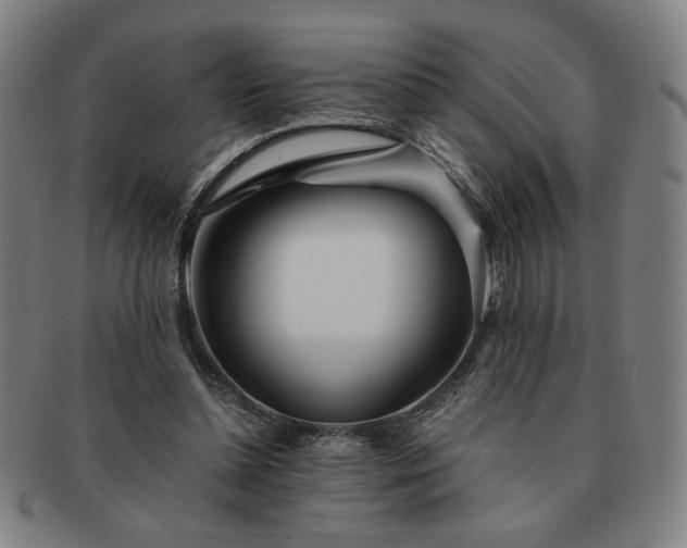 X0000091450348200708231300