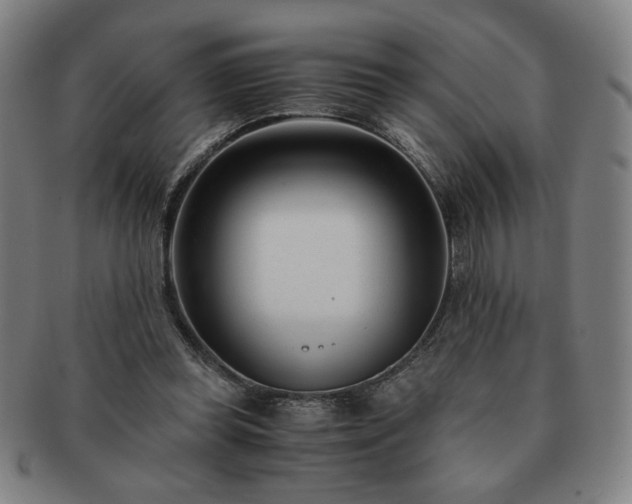 X0000091450349200708231300