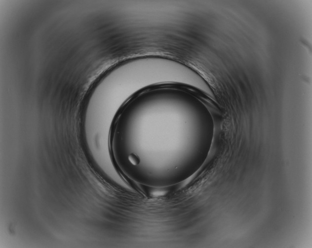 X0000091450350200708231300