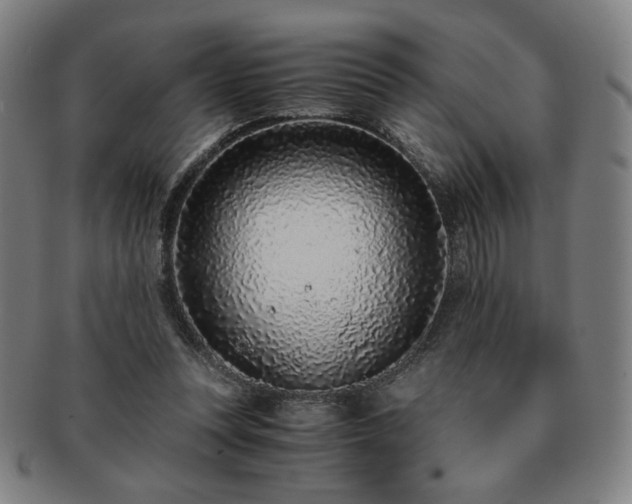 X0000091450351200708231300