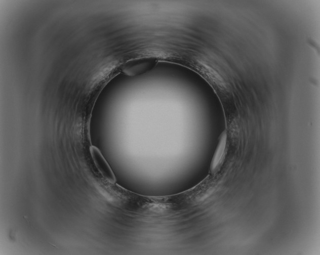 X0000091450352200708231300