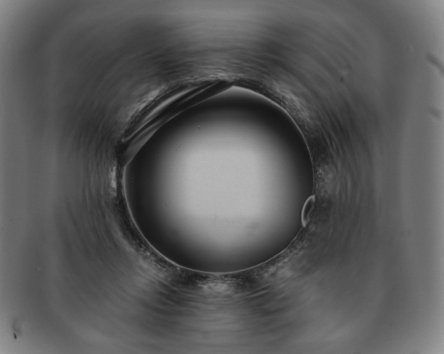X0000091450358200708231300