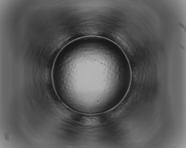 X0000091450359200708231300