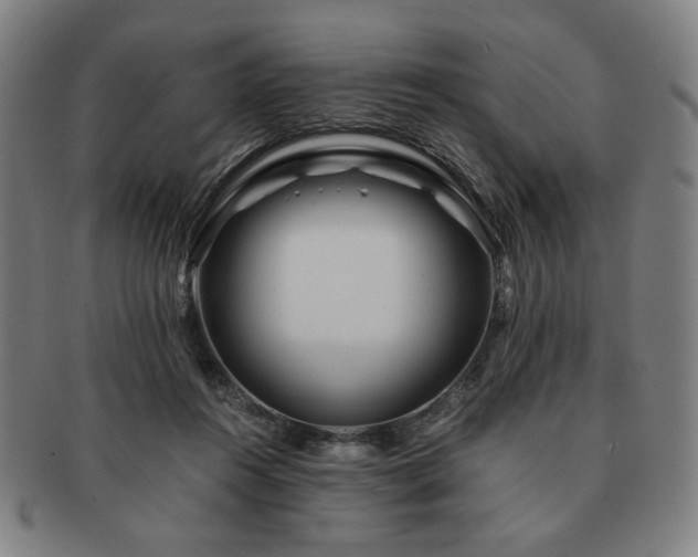 X0000091450360200708231300