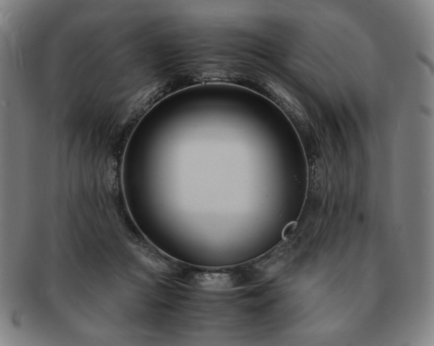 X0000091450361200708231300