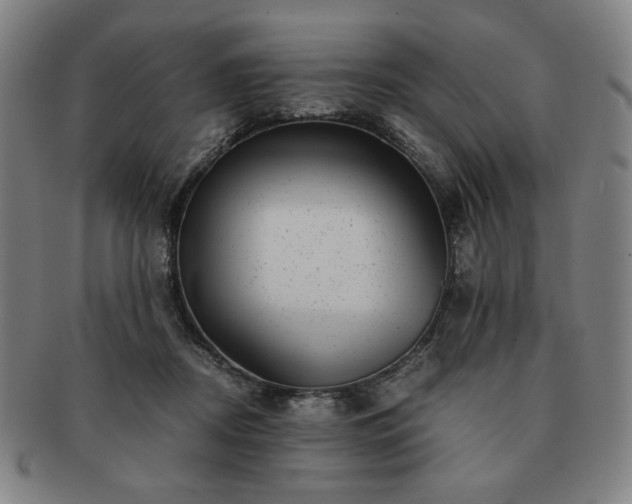 X0000091450362200708231300
