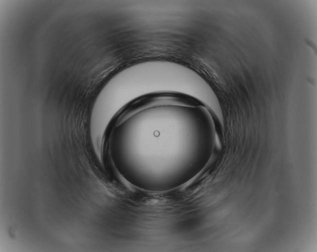 X0000091450364200708231300