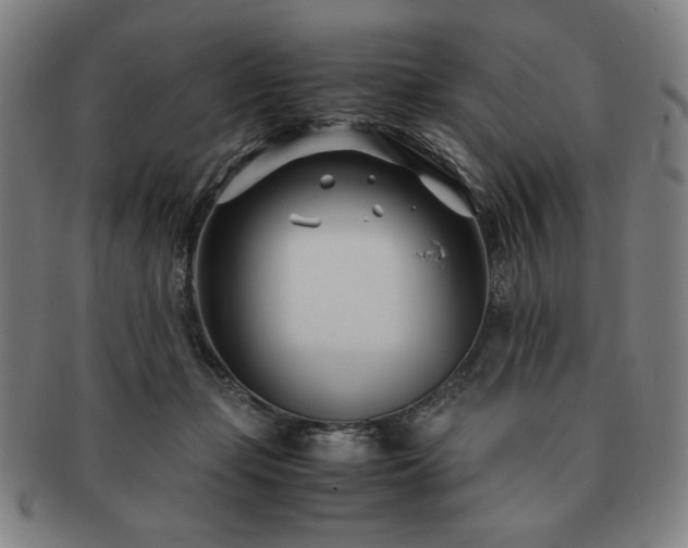 X0000091450365200708231300