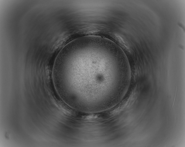 X0000091450366200708231300