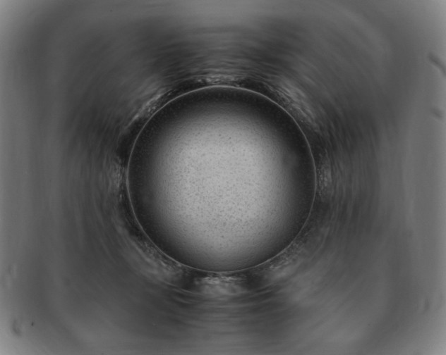 X0000091450367200708231300