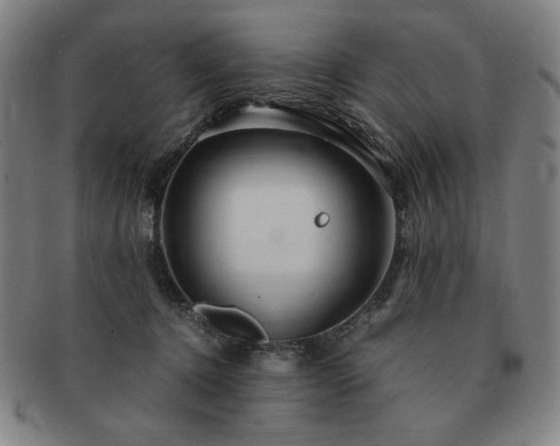 X0000091450368200708231300