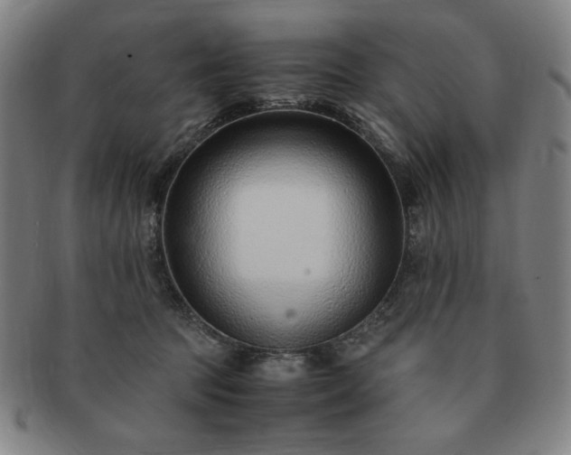 X0000091450369200708231300