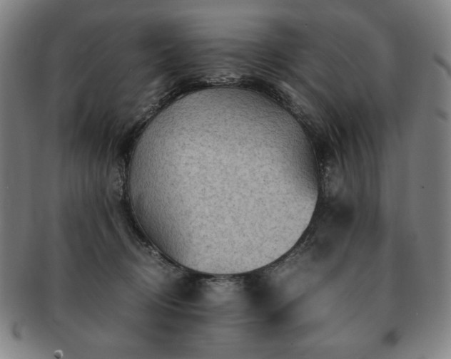 X0000091450370200708231300