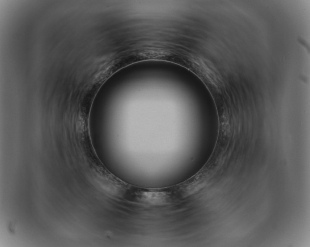 X0000091450371200708231300