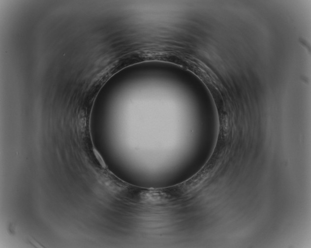 X0000091450372200708231300