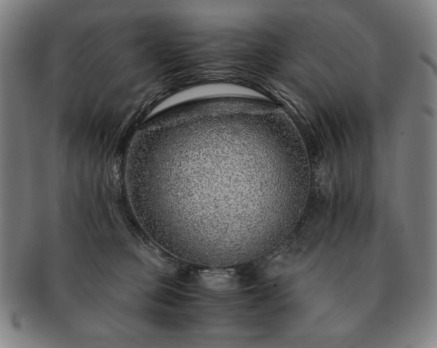 X0000091450373200708231300