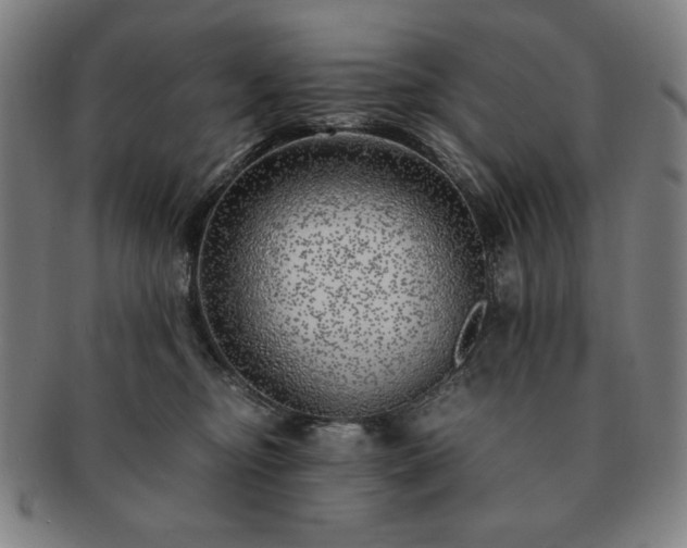 X0000091450374200708231300