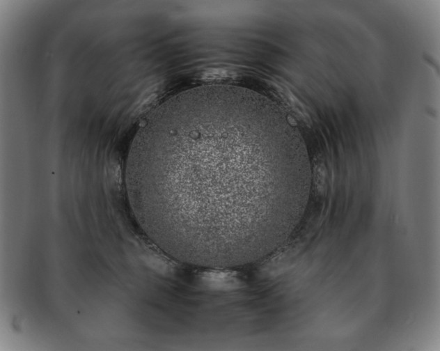 X0000091450375200708231300