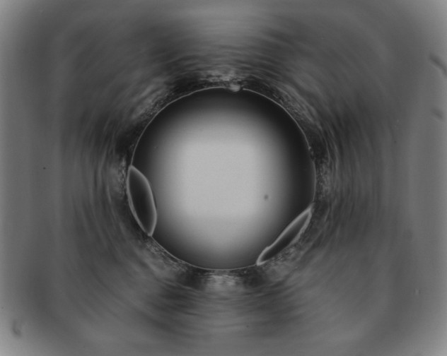 X0000091450376200708231300