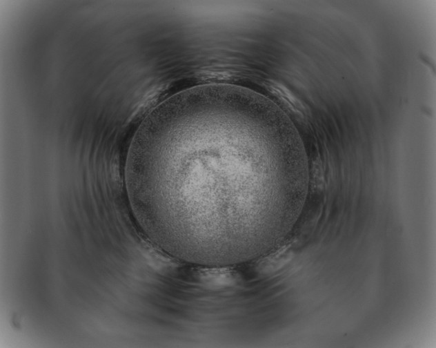 X0000091450377200708231300