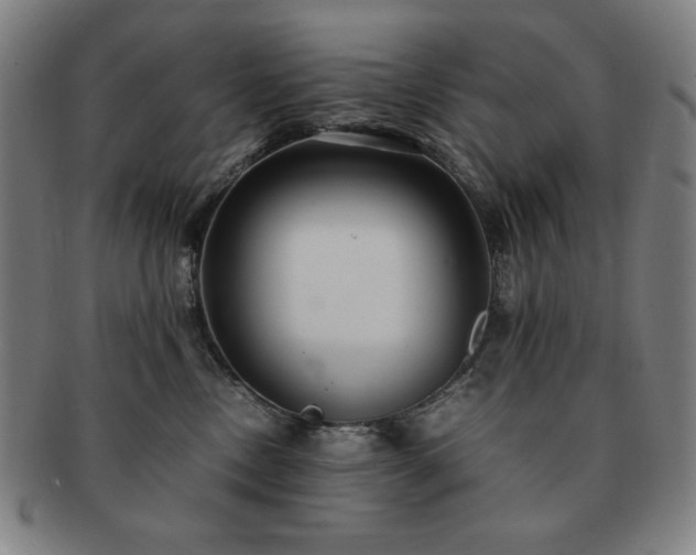 X0000091450378200708231300