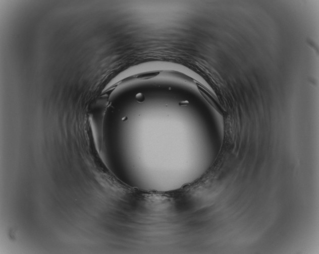 X0000091450380200708231300