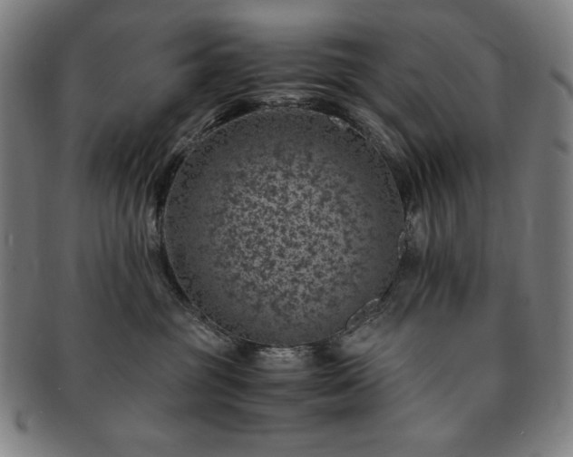 X0000091450381200708231300