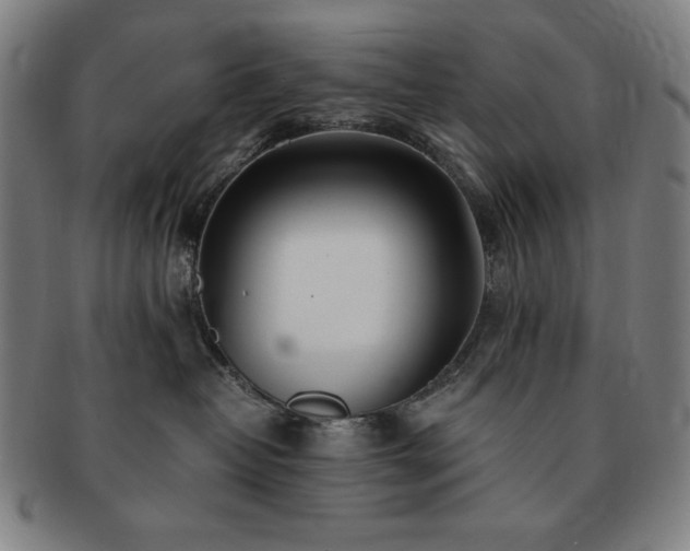 X0000091450382200708231300