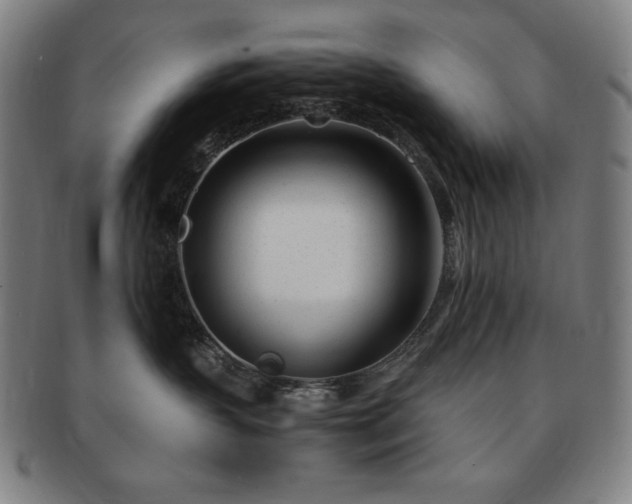 X0000091450383200708231300
