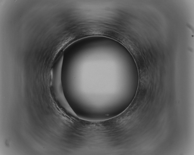 X0000091450386200708231259