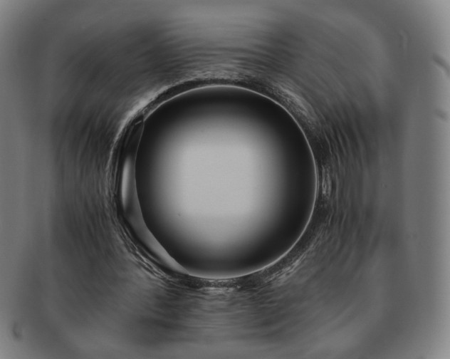 X0000091450388200708231259