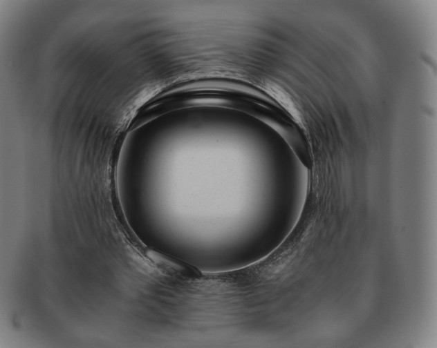 X0000091450389200708231259