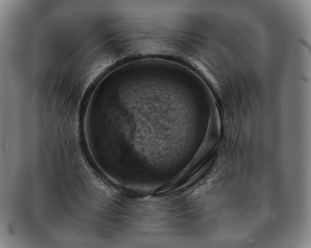 X0000091450391200708231259
