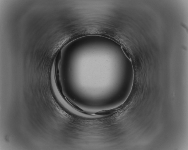 X0000091450393200708231259