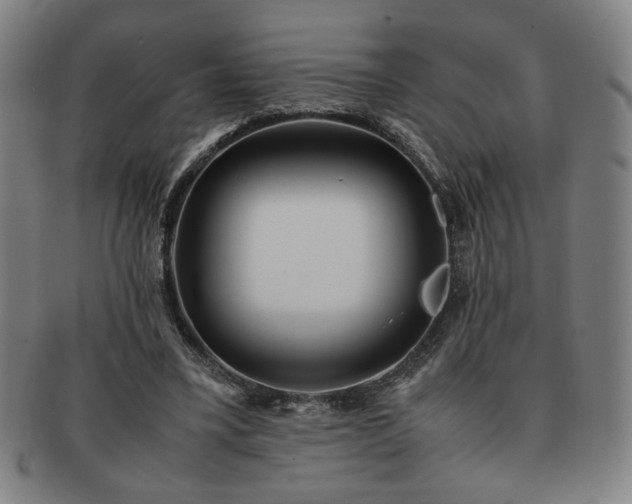 X0000091450395200708231259