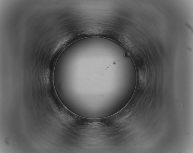 X0000091450396200708231259
