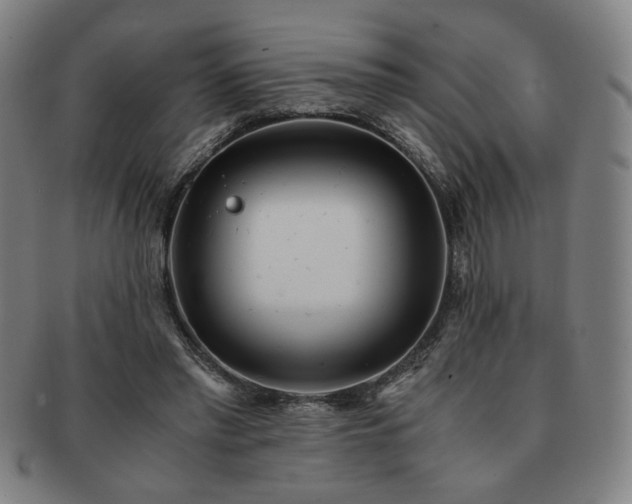 X0000091450397200708231259