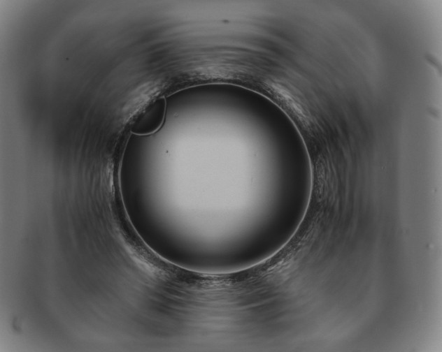 X0000091450398200708231259