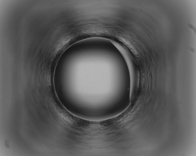 X0000091450399200708231259
