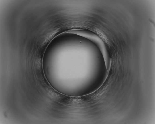 X0000091450401200708231259