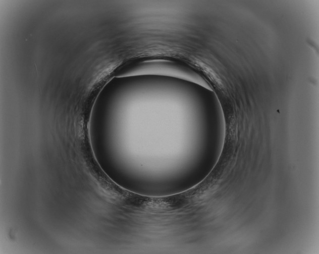 X0000091450403200708231259