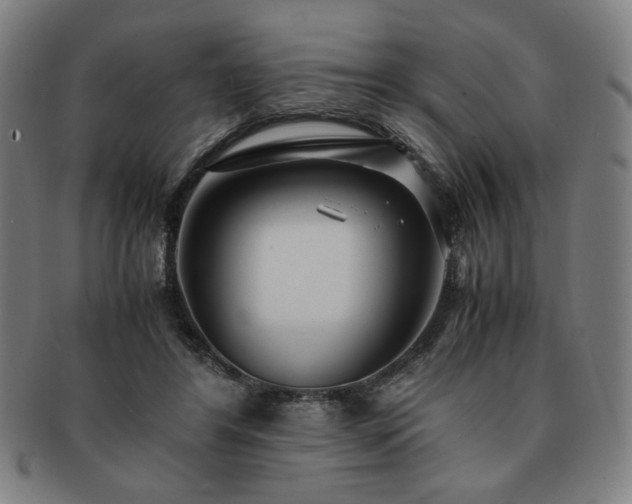 X0000091450404200708231259